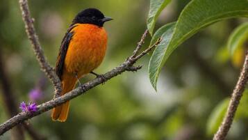 Un oiseau était perché sur une branche ornée de feuilles vertes et de fleurs violettes.