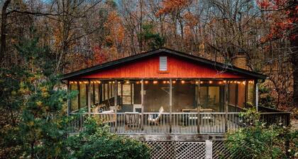 Blue Smoke Mountain-Side Cabin, Hot Tub, Huge Screened Porch