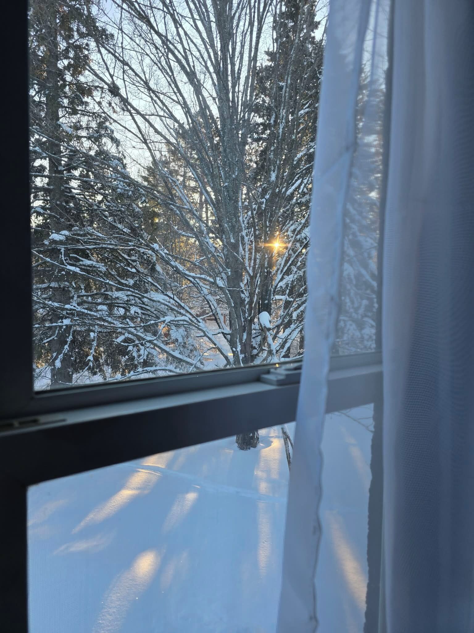 Une vue par la fenêtre sur un paysage enneigé, avec des arbres sans feuilles et un lampadaire.