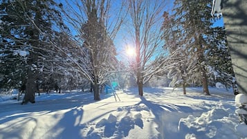Ein verschneiter Pfad, gesäumt von Bäumen, wobei Sonnenlicht hindurchscheint.