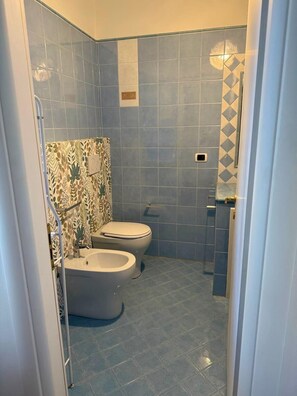 Dusche, Whirlpool, Haartrockner, Bidet