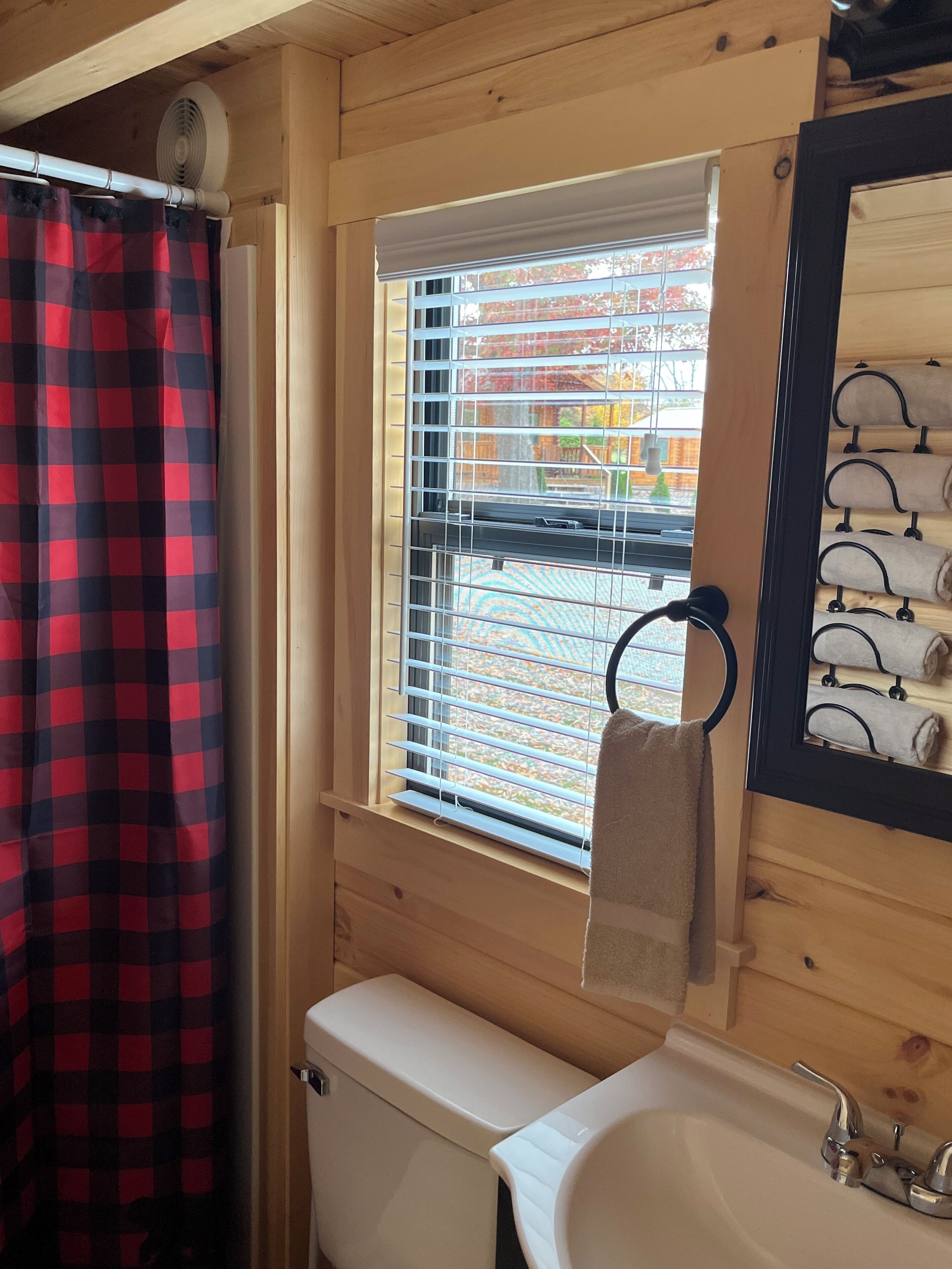 Shower, towels, toilet paper