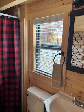 Shower, towels, toilet paper