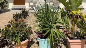 Property grounds - Paradise Inn of Naples (Naples)
