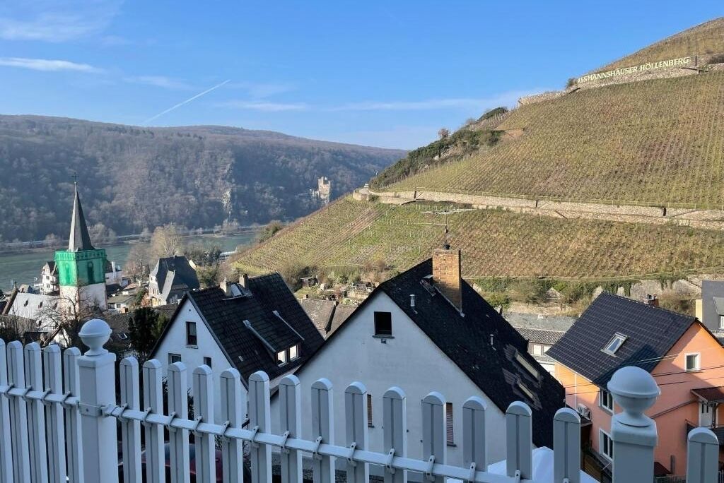 A hillside with a vineyard, a church, and residential buildings.