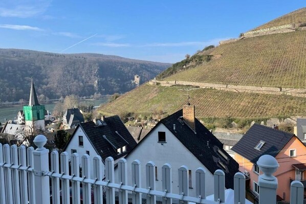 A hillside with a vineyard, a church, and residential buildings.