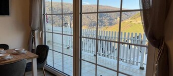 House on the vineyard / Rhine view #4