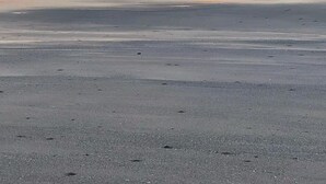 Una playa con un atardecer, agua tranquila y edificios al fondo.