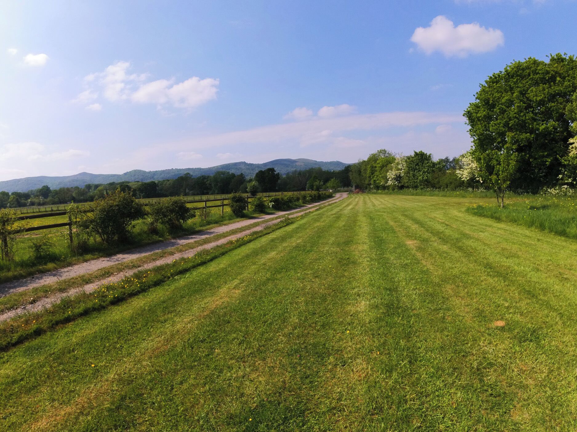 A rural landscape with a well-maintained grassy field, a dirt path, and a wooden fence.