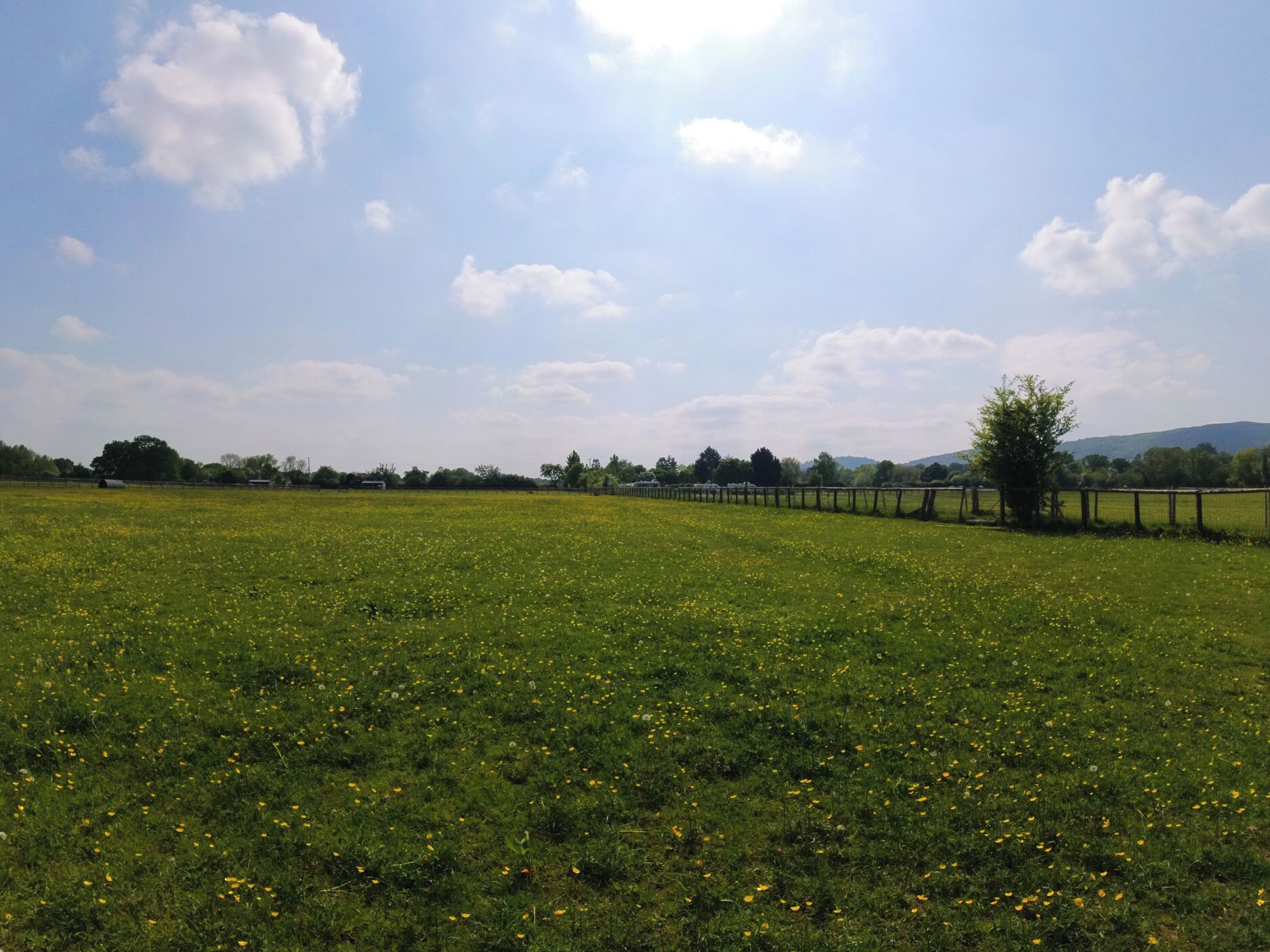 A wide, open field with a wooden fence and a tree in the distance.
