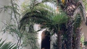 A courtyard with palm trees, a white wall, and a wooden door. - 2-star house - Jardin Clos - Beach, forest and shops on foot (Saint-Hilaire-de-Riez)