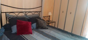 1 bedroom, iron/ironing board, travel cot, free WiFi - "Le Pesquit" large, fully-equipped 36m2 studio on one level: private terrace. (Lescar)