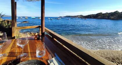 Le Clos Ferté villa in Le Lavandou