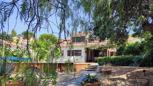 A courtyard with potted plants, a pathway, and a building with a tiled roof. - Le Clos Ferté villa in Le Lavandou (Le Lavandou)
