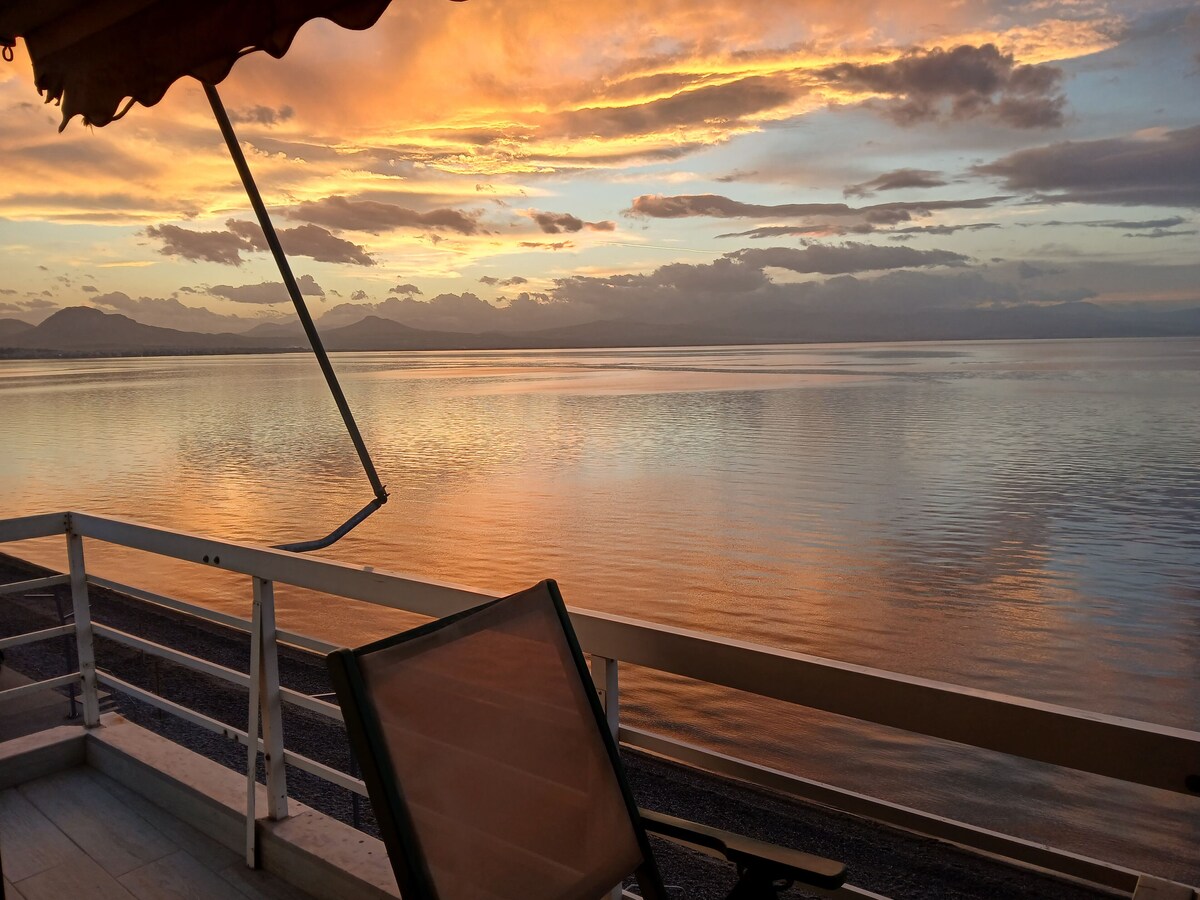 Image de profil de l’hôte