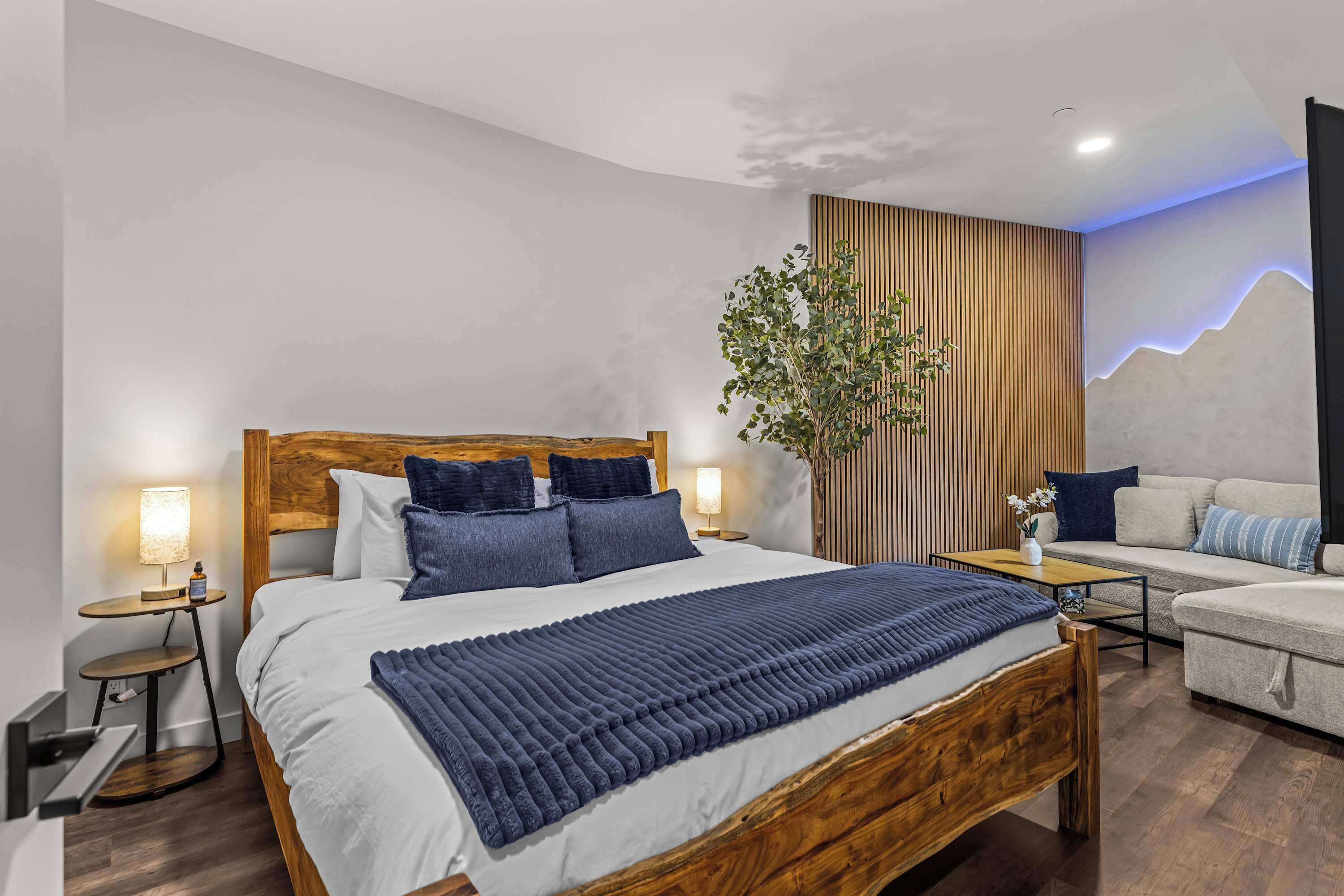 2 slaapkamers, een strijkplank/strijkijzer, reisbedje, wifi