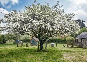 Un paysage rural avec un grand arbre en fleurs, un petit bâtiment bleu et une construction en pierre.