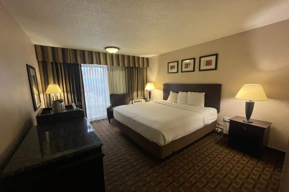 Iron/ironing board, WiFi (free), bed sheets
