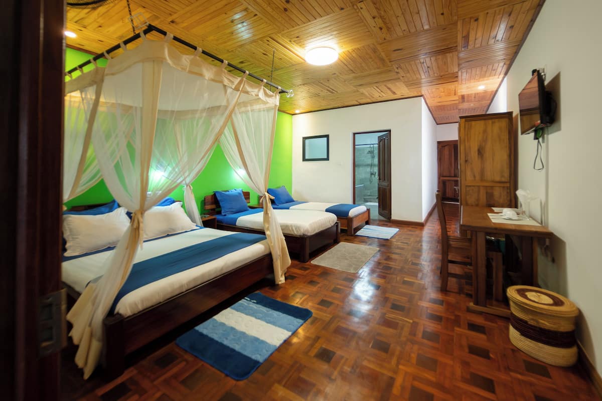 A room with two beds, a wooden ceiling, and a green wall.
