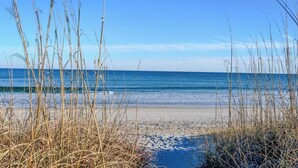 En strand med högt gräs i förgrunden och en klarblå himmel.
