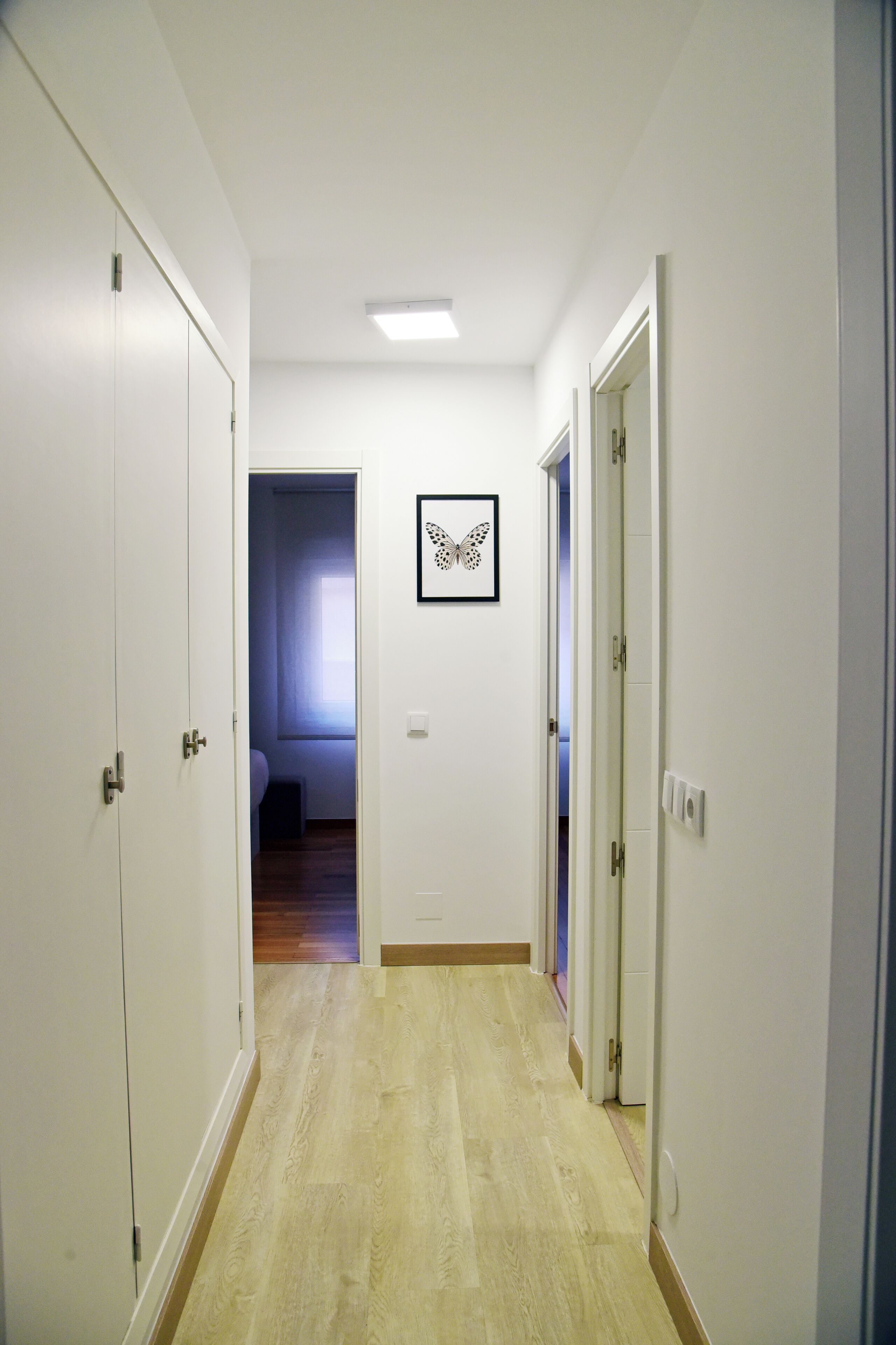 A hallway with white walls, a framed butterfly artwork, and wooden flooring.