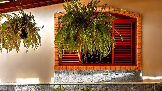 Exterior detail - Casa c garagem, wi-fi, Pet Friendly, prox Capivari (Campos do Jordão)