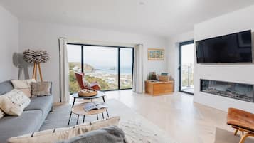 Smart TV, fireplace, books, music library