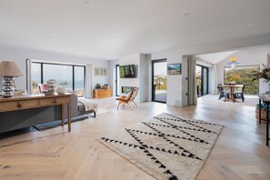 Smart TV, chimenea, libros y biblioteca musical 
