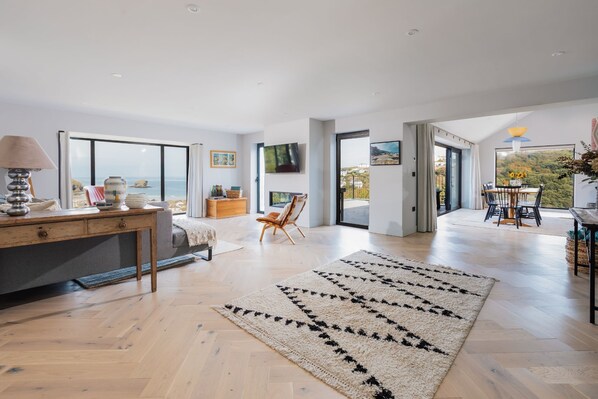 Smart TV, fireplace, books, music library