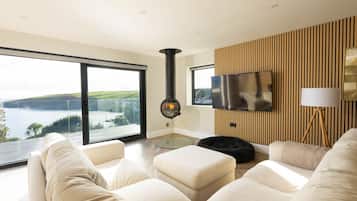 Smart TV, chimenea, libros y estéreo