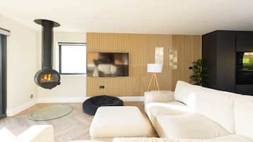 Smart TV, fireplace, video games, books