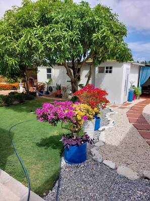 Property grounds - Haystack Cozy Cottage near the Haystack in the middle of the island of Aruba (Oranjestad)