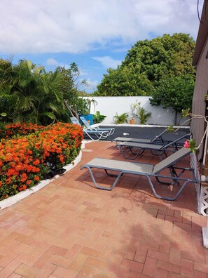 Terrace/patio - Haystack Cozy Cottage near the Haystack in the middle of the island of Aruba (Oranjestad)