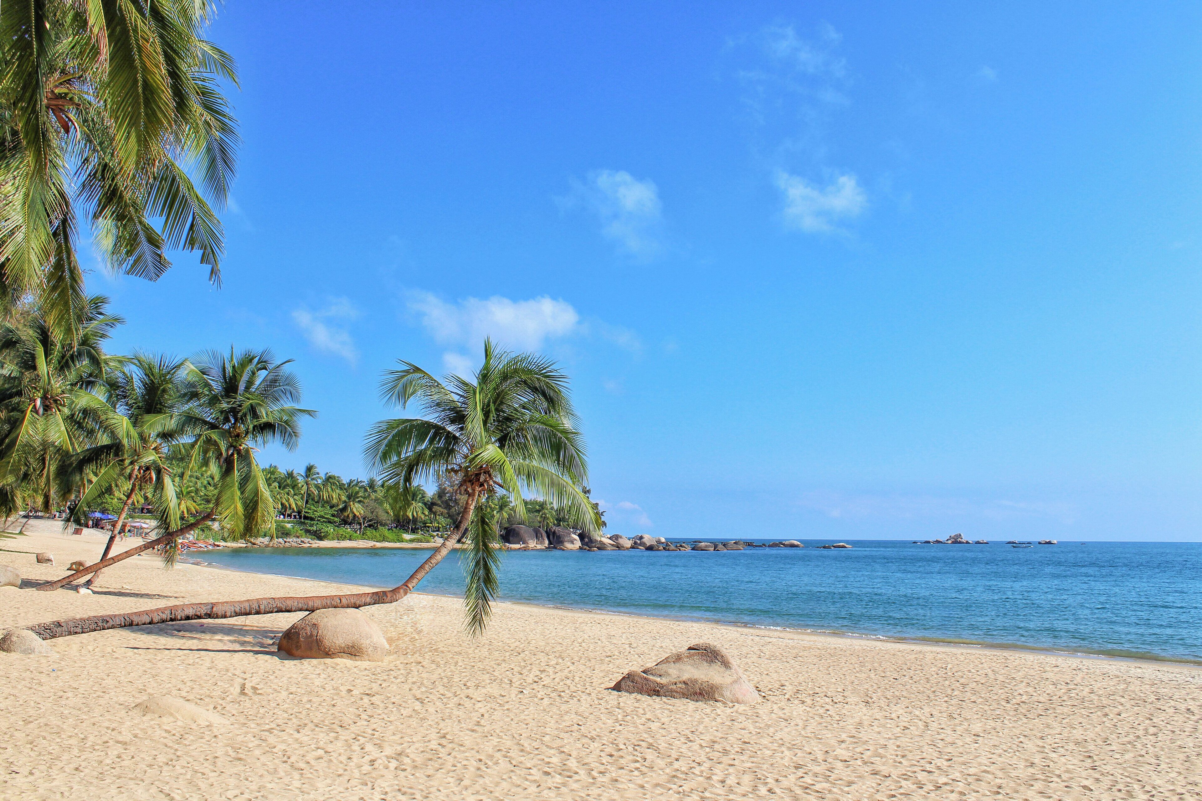 Una playa con palmeras, una orilla de arena y agua azul tranquila.