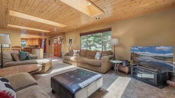 Smart TV, chimenea, reproductor de DVD y libros