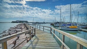 Interior - Oceanview Balcony, Private Apartment & Short Walk to Beach Beachview 54 y Avantstay (Port Aransas)
