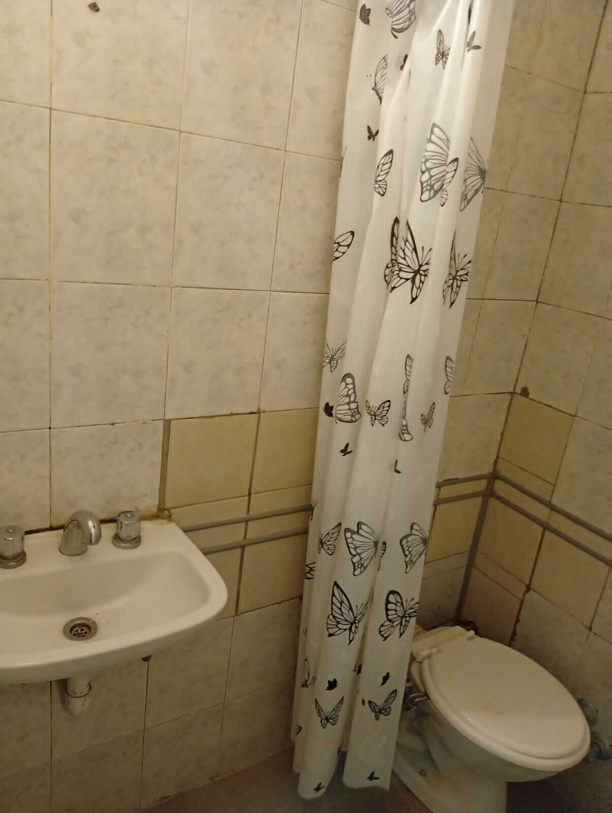 Toallas, papel higiénico