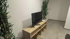 Un salon avec un téléviseur posé sur un meuble en bois, une télécommande et deux plantes en pot.