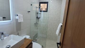 Shower, towels, soap, toilet paper