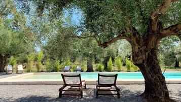 Seasonal outdoor pool, open 10:00 AM to 8:00 PM, pool loungers