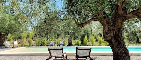 A poolside area with two lounge chairs under a large tree, surrounded by greenery and a clear view of the pool.