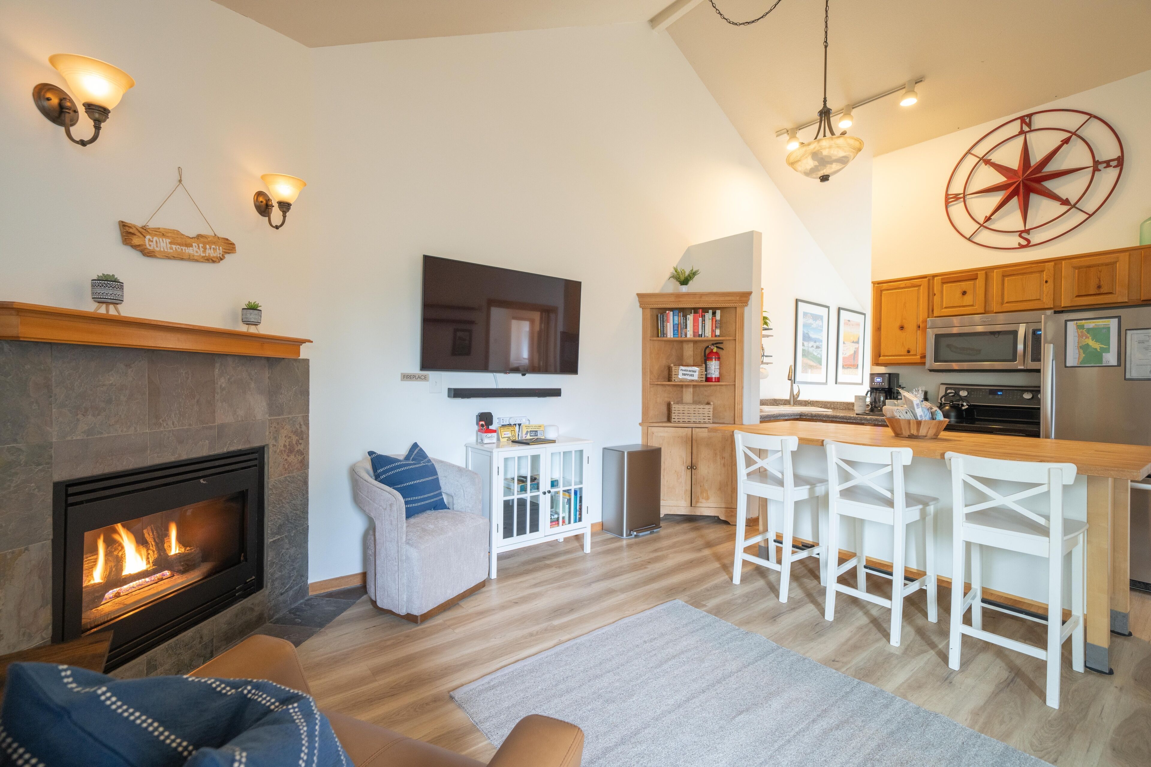 TV, fireplace, video games, books