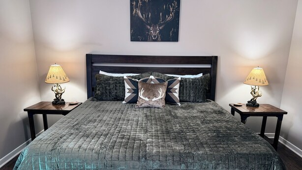 A bedroom with a large bed, two nightstands, and a wall-mounted lamp. - Farm Stay Near Town - Animals, Fire Pit, & Privacy - close to wedding venues (Georgetown)