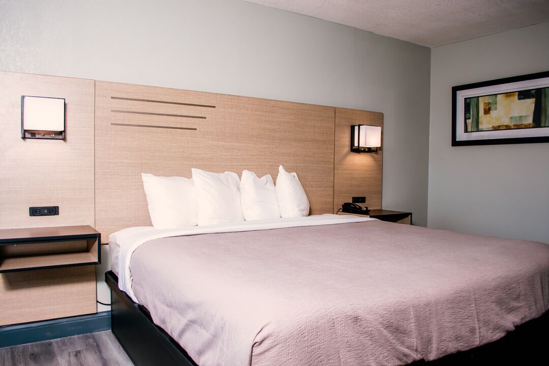 Eenpersoonskamer, 1 kingsize bed, niet-roken | Luxe beddengoed, een bureau, een laptopwerkplek