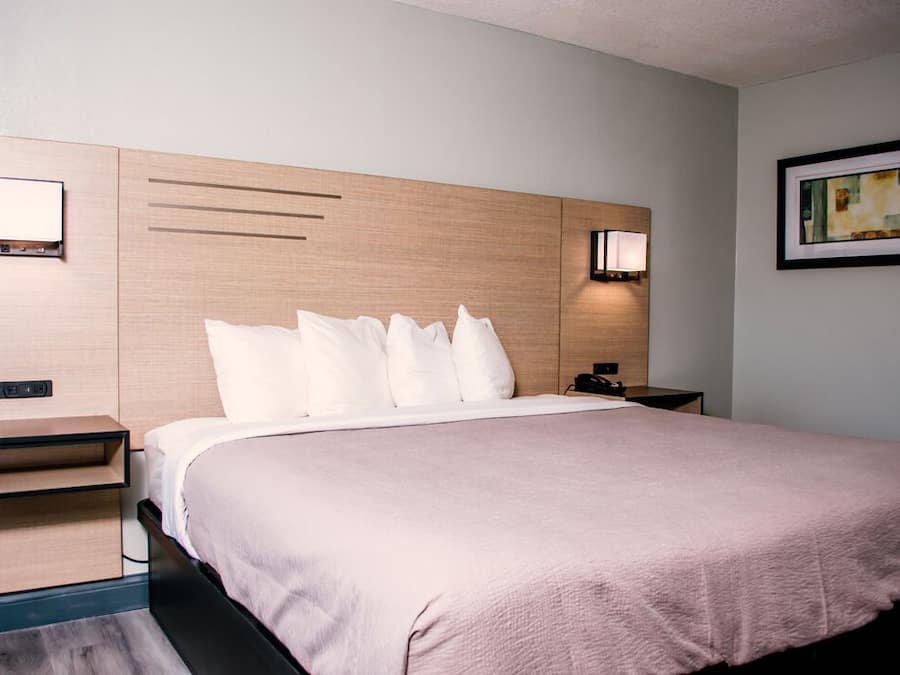 Single Room, 1 King Bed, Non Smoking