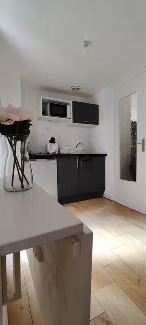 Microwave - Charming studio with terrace in Roubaix (Roubaix)