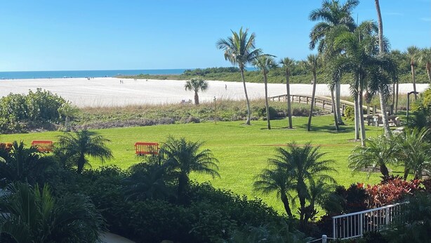 Blick auf einen Strand mit Palmen und einer Rasenfläche.