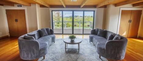 TV, fireplace, offices