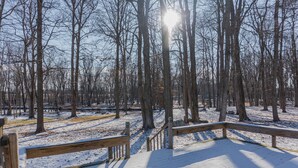 Unclassified image, 5 of 41, button - Charming Cabin Hideaway, Peaceful Woodland Escape (Williamston)