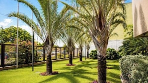 Un área ajardinada con palmeras, un césped bien cuidado y una valla.